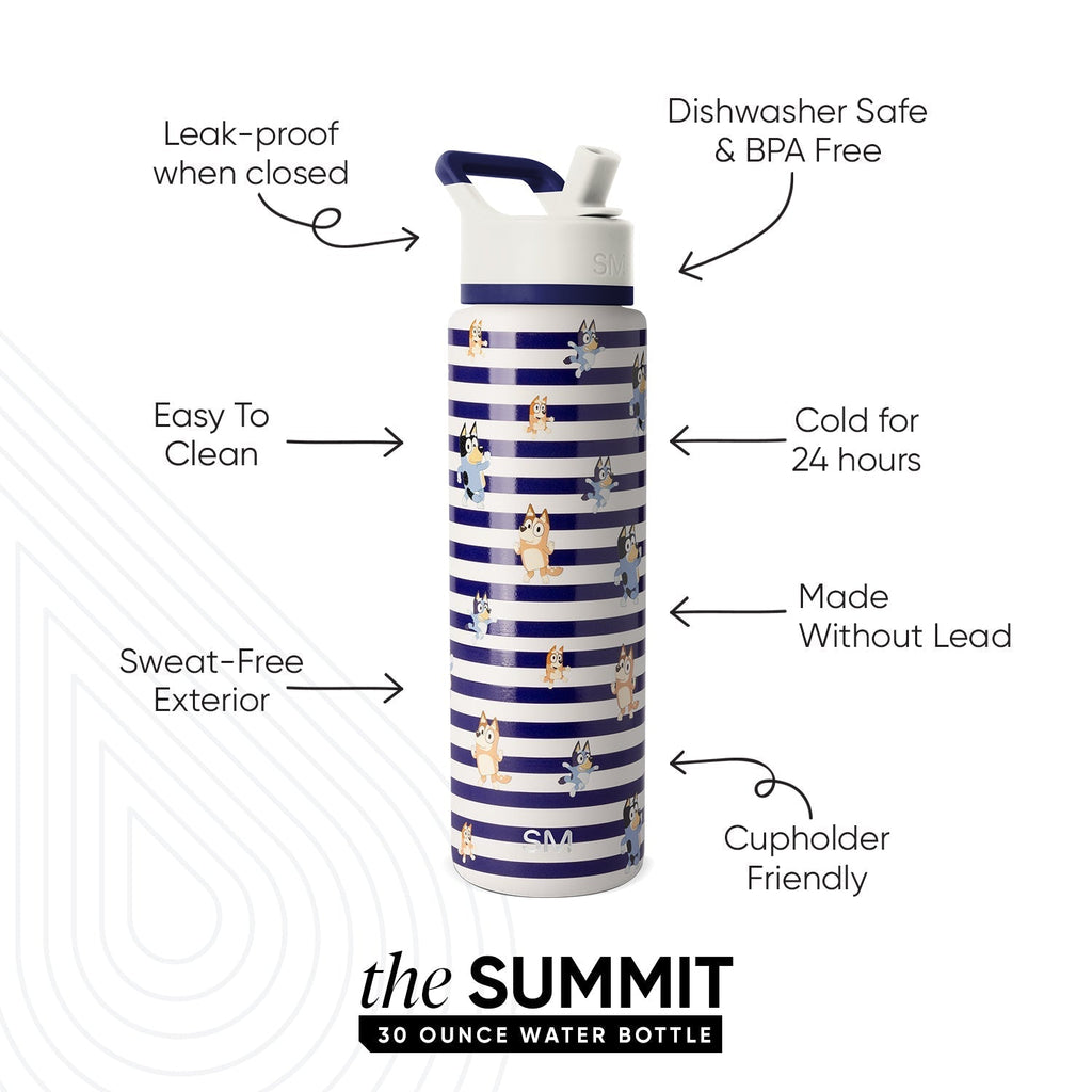 Summit Water Bottle with Straw Lid